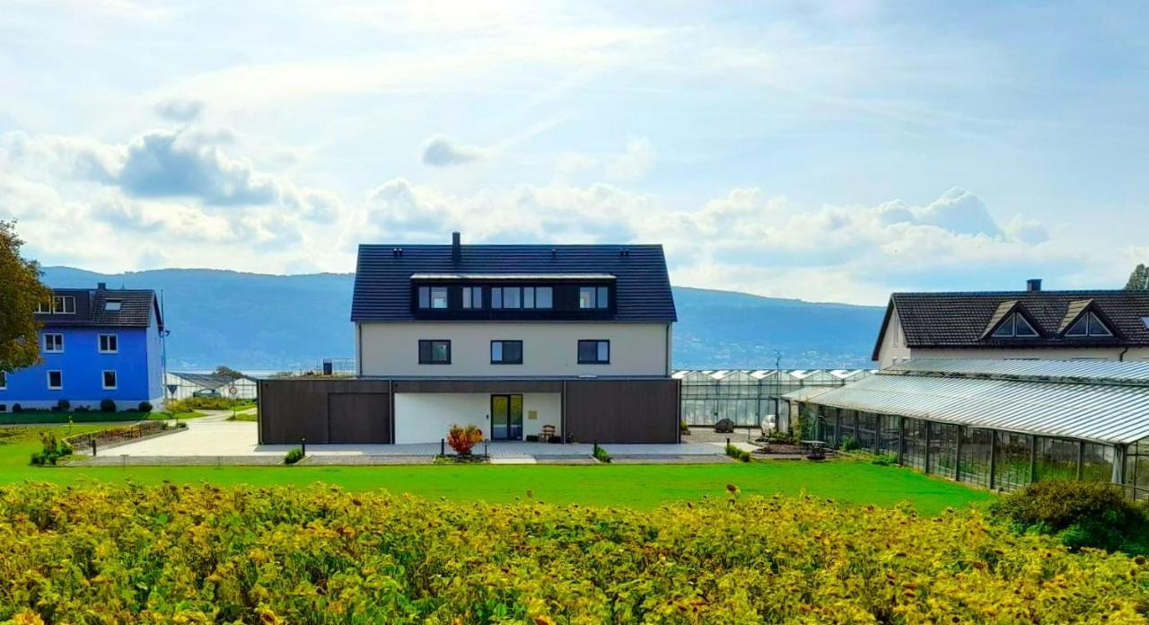 Bodensee Insel
