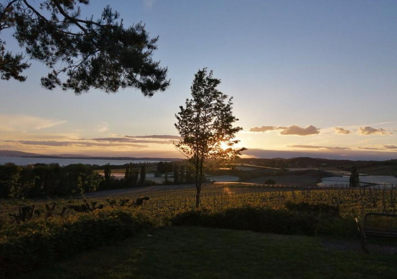 Behringer Immenstaad am Bodensee