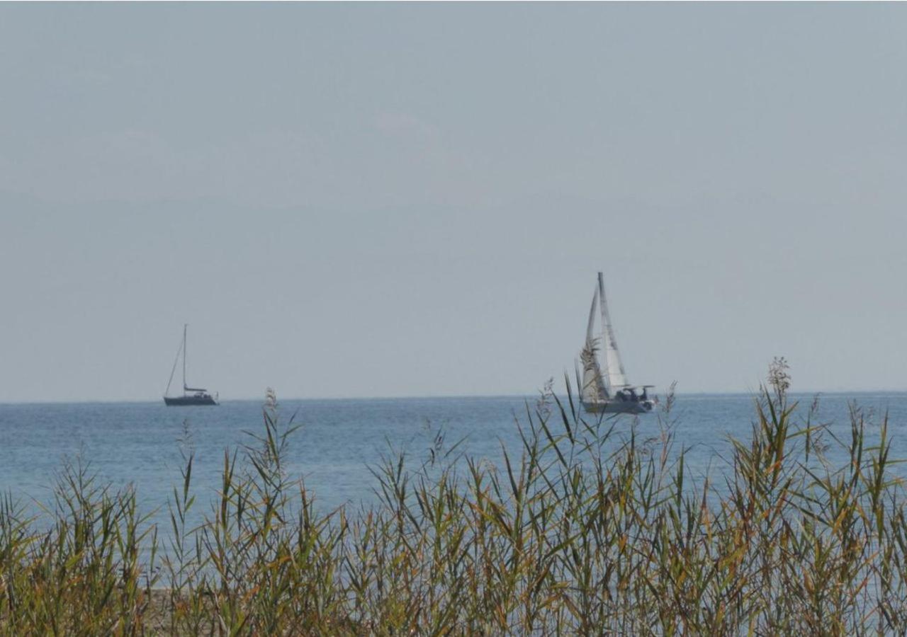 Behringer Immenstaad am Bodensee