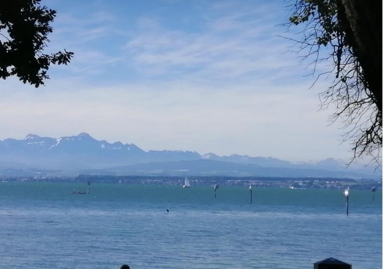 Behringer Immenstaad am Bodensee