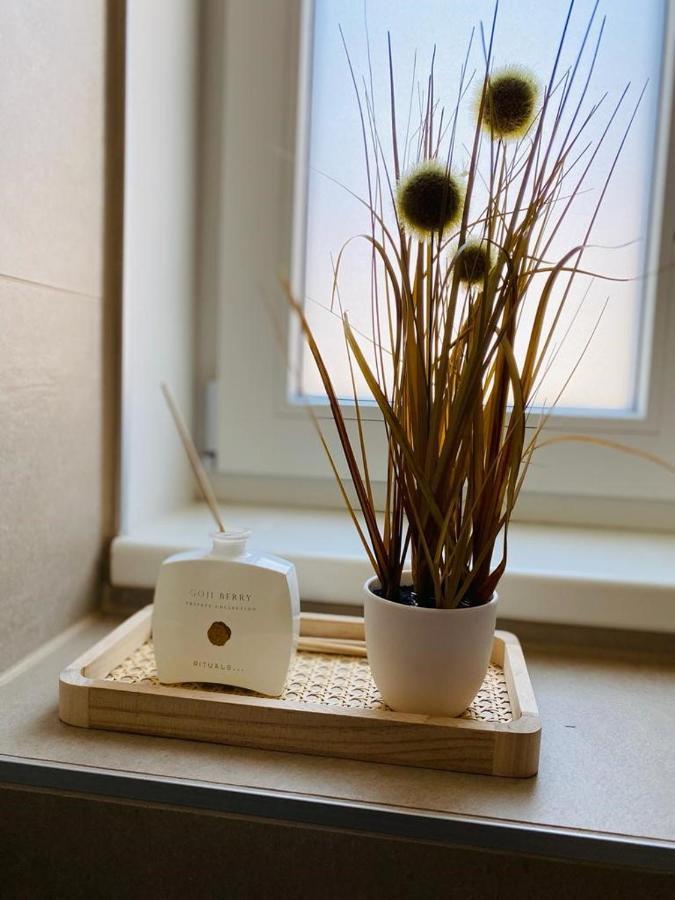 Vinestia Cityloft Storchenblick, Non-serviced Apartment *