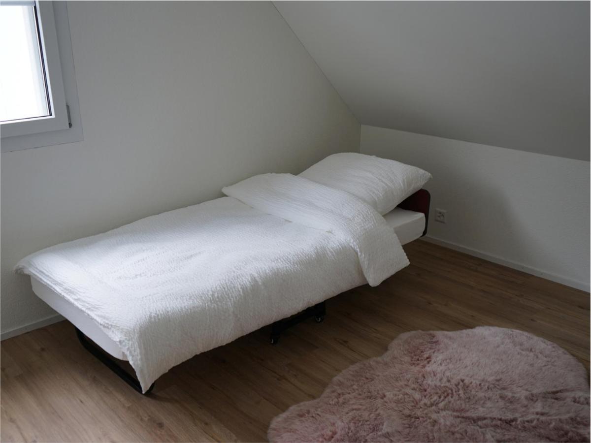 Exklusive 5,5 Fuer Familien Und Business Apartment Eschenz