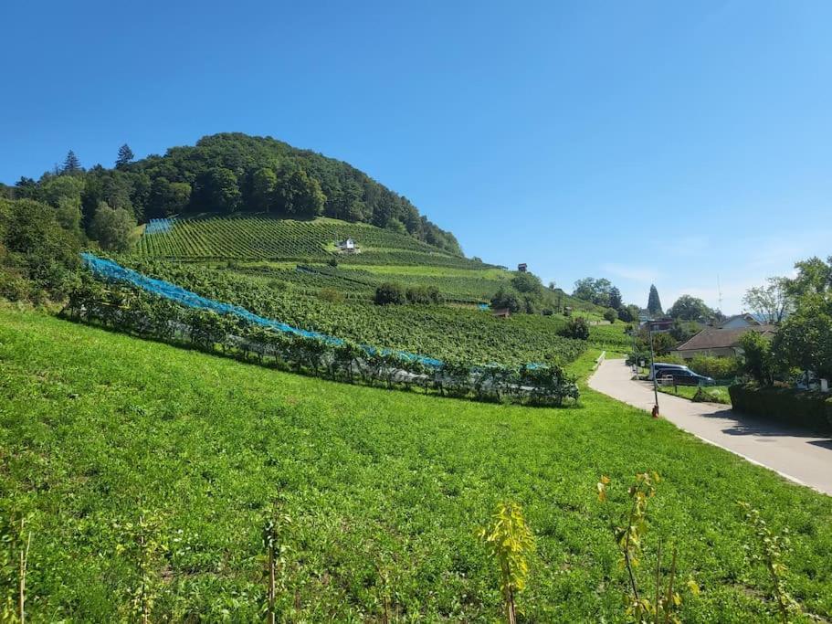 Apartment Schoene Einliegerwohnung 200m Vom Wasser Entfernt Stein Am Rhein