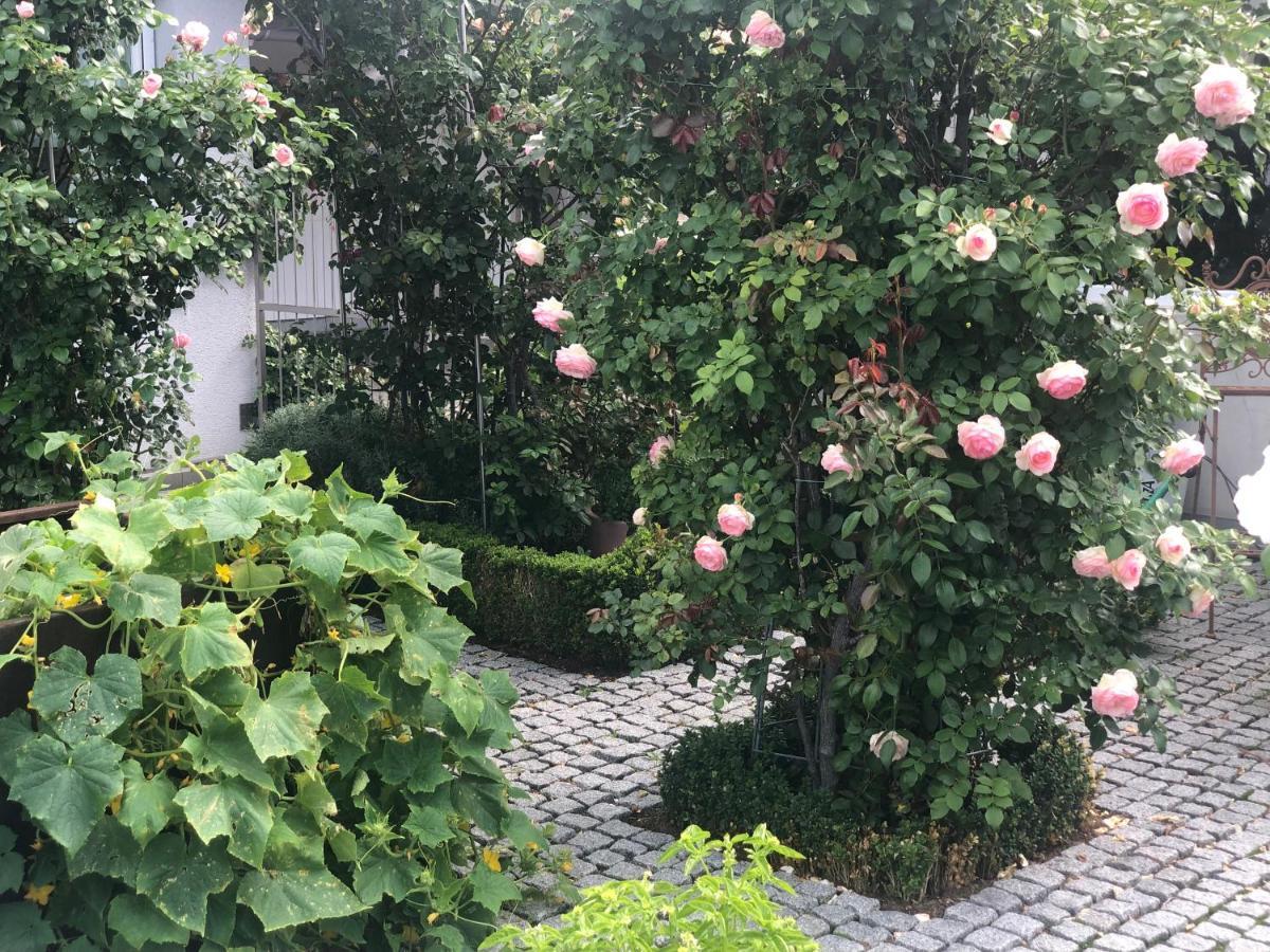 Am Bodensee - Ruhe,natur Und Golfgenuss Lochau