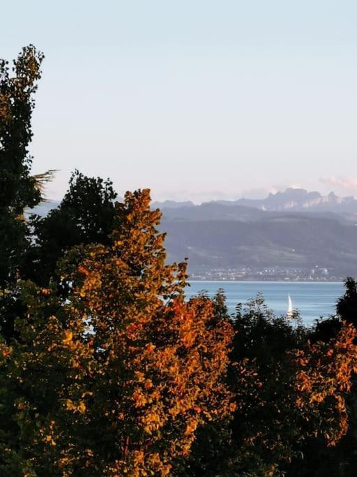 Wohnen Direkt Am Uferpark Mit Grossem Balkon Und Seeblick Apartment