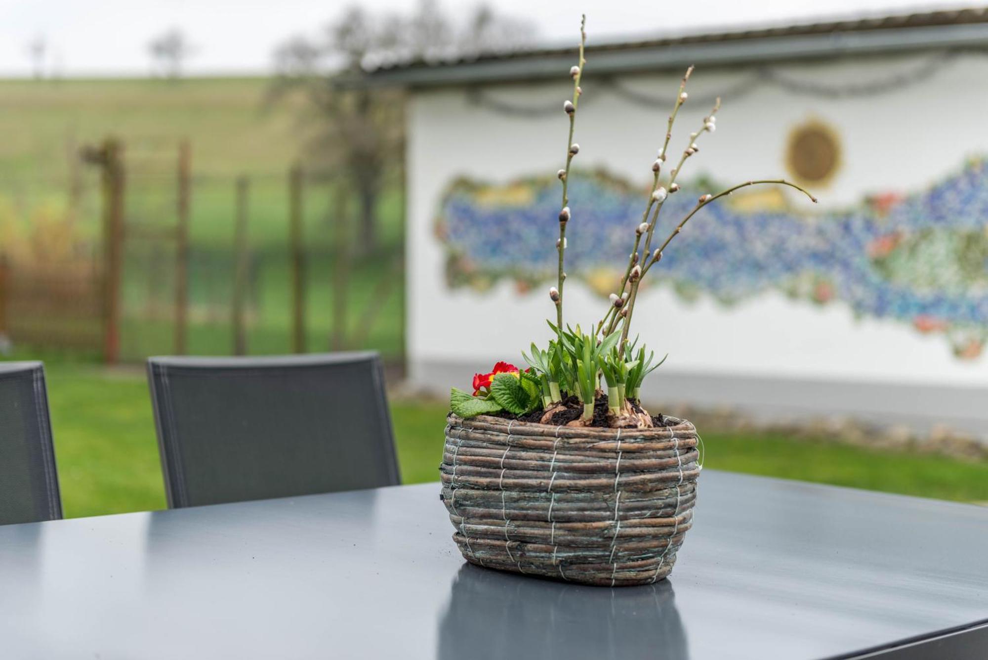 Haus Buche Apartment *