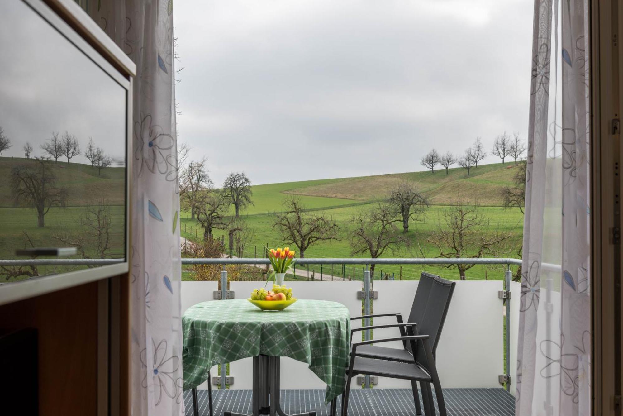 Haus Buche Apartment *