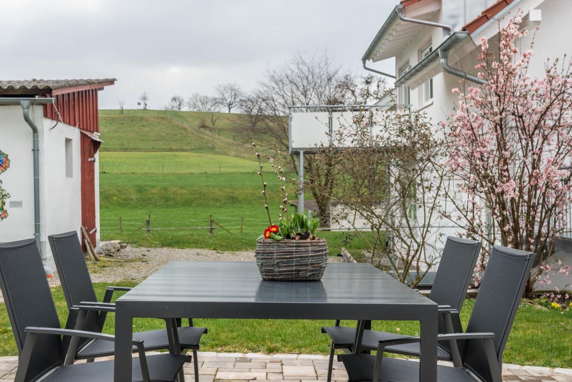 Haus Buche * Hodingen