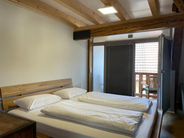 Hotel Bodenseehotel Krone 3*
