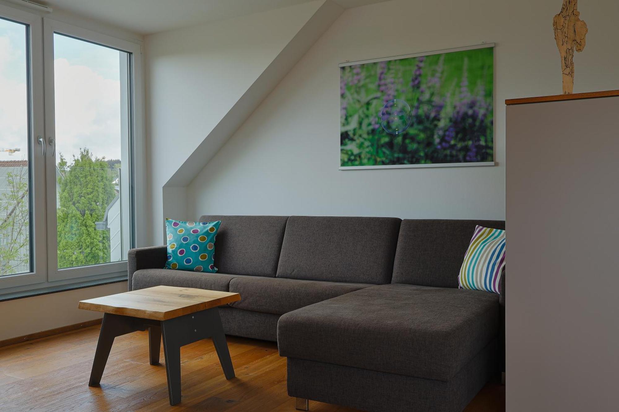 Seezeichen Apartment Wasserburg am Bodensee