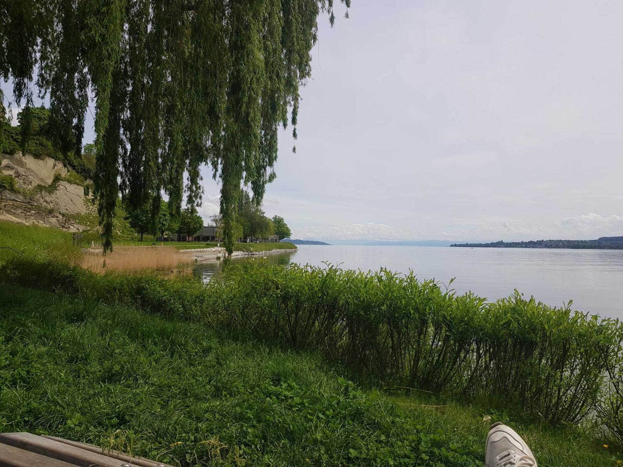 Apartment Simone - - Uberlingen