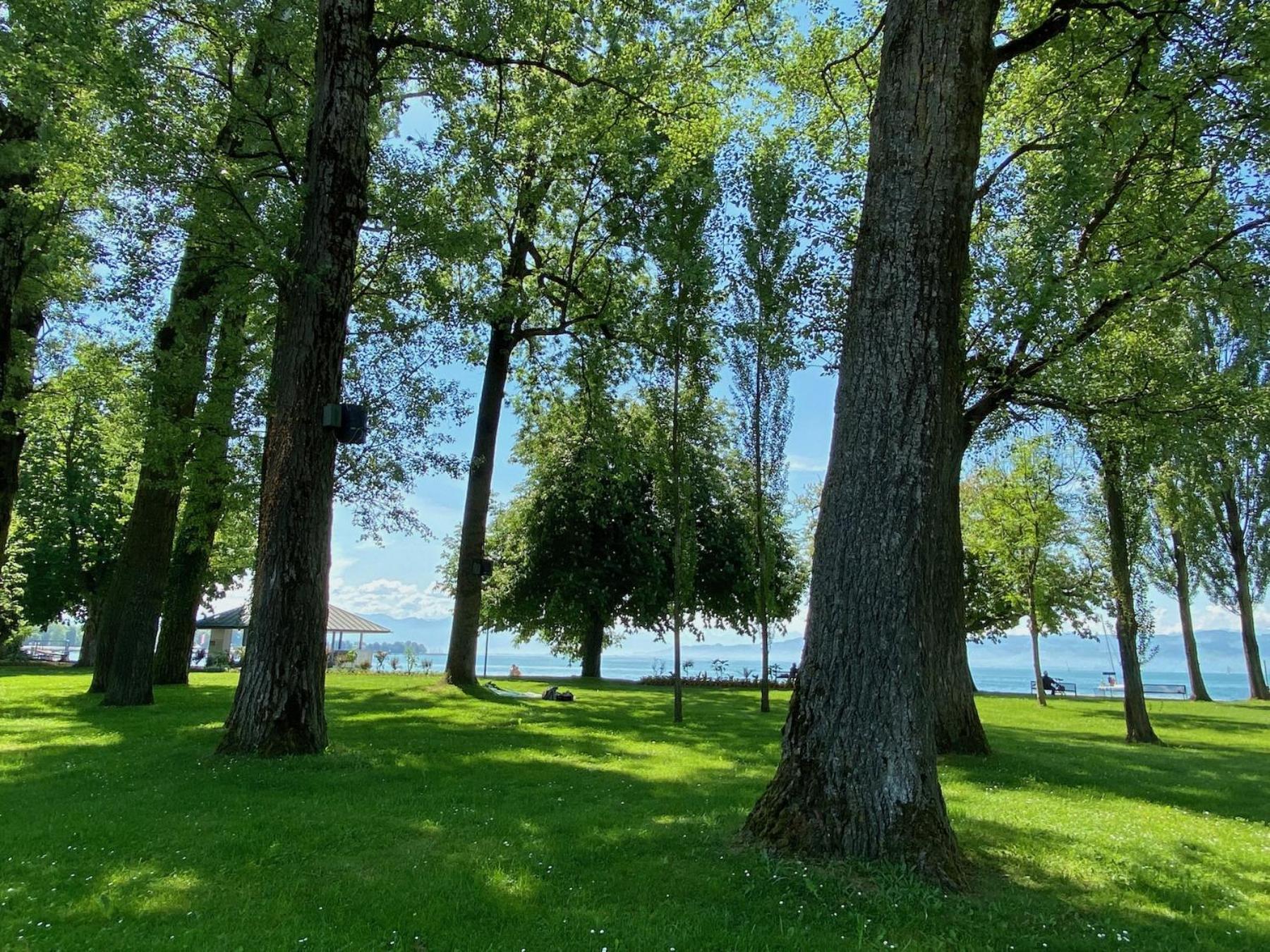 Fischerpromenade Kressbronn am Bodensee