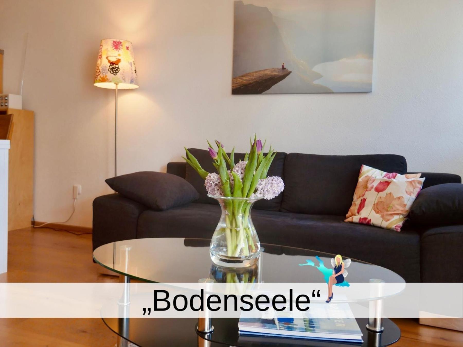 Bodenseele - Wohlfuehloase Mit Grossem Sonnenbalkon * Langenargen