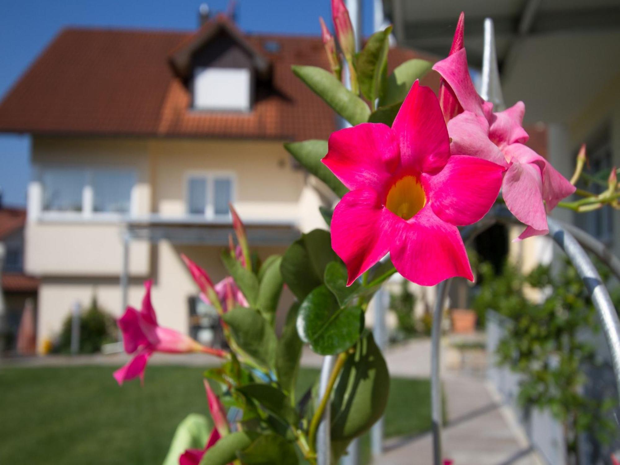 Obst- Und Witzigmann Apartment