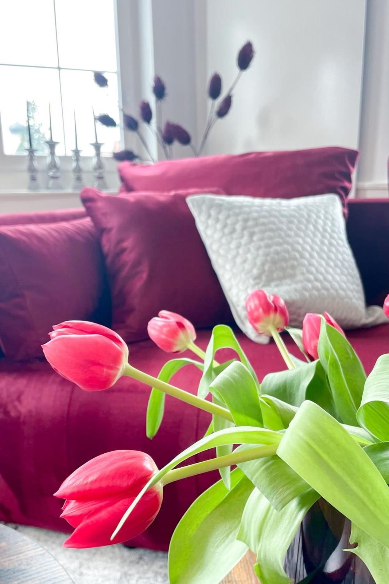 Velvet Ein Haus Mit Geschichte Im Herzen Tettnangs Messe Friedrichshafen Apartment Tettnang