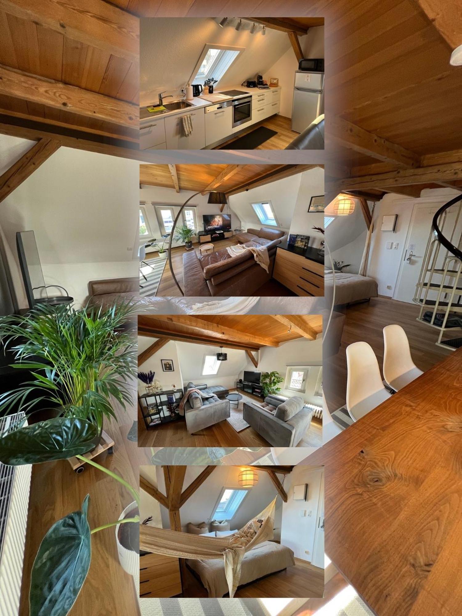 Apartment Wohlfuehl Loft - Seenaehe, Boxspringbett, Kueche *