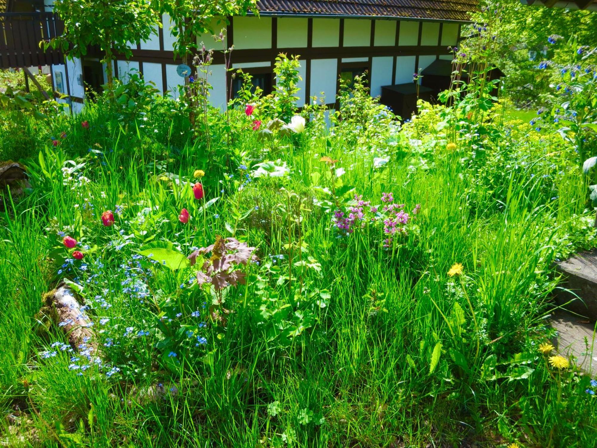 Natururlaub Apartment Frankenau