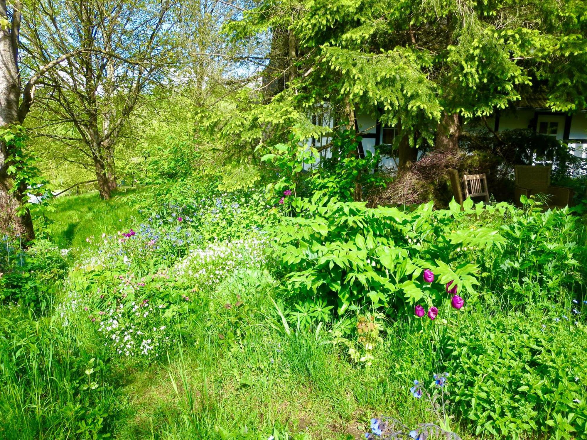 Natururlaub Apartment