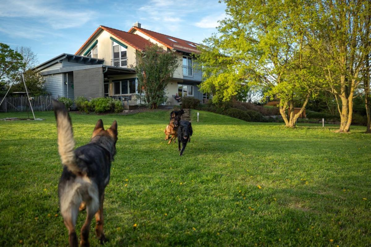 Ferienhaus Beim Viechdoktor Crailsheim