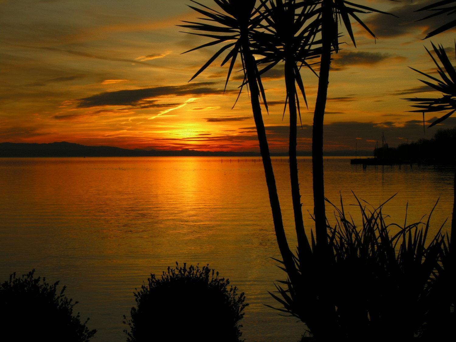 Am Bodensee (adults Only)