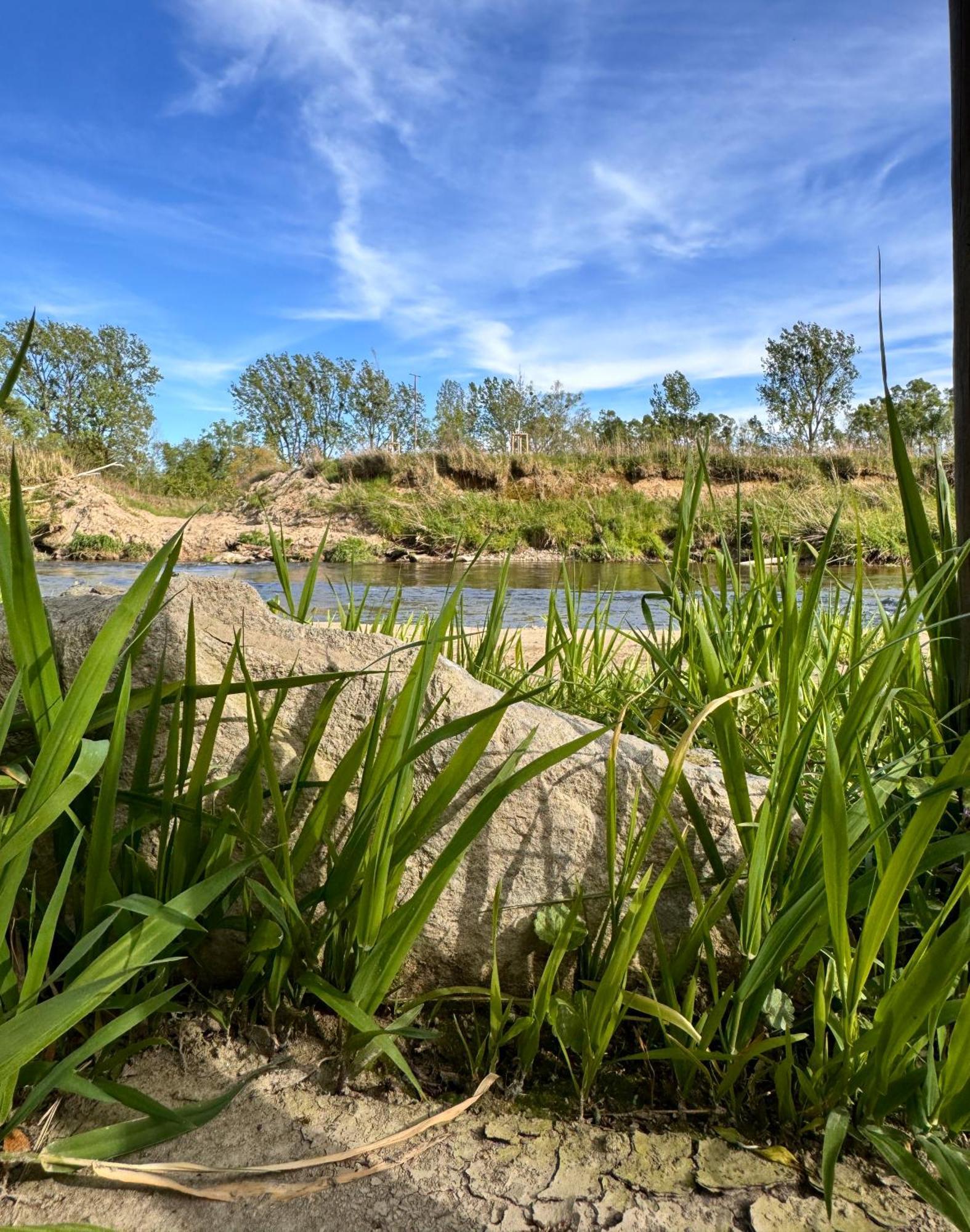 Am Flussgarten