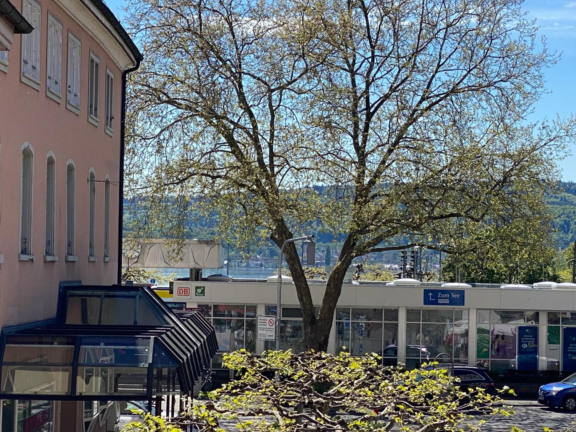 Apartment Seeromantik In 2 Minuten Am *
