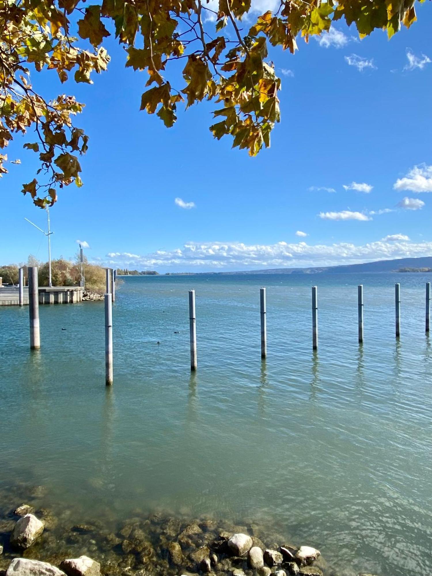 Seeromantik In 2 Minuten Am Apartment Radolfzell am Bodensee