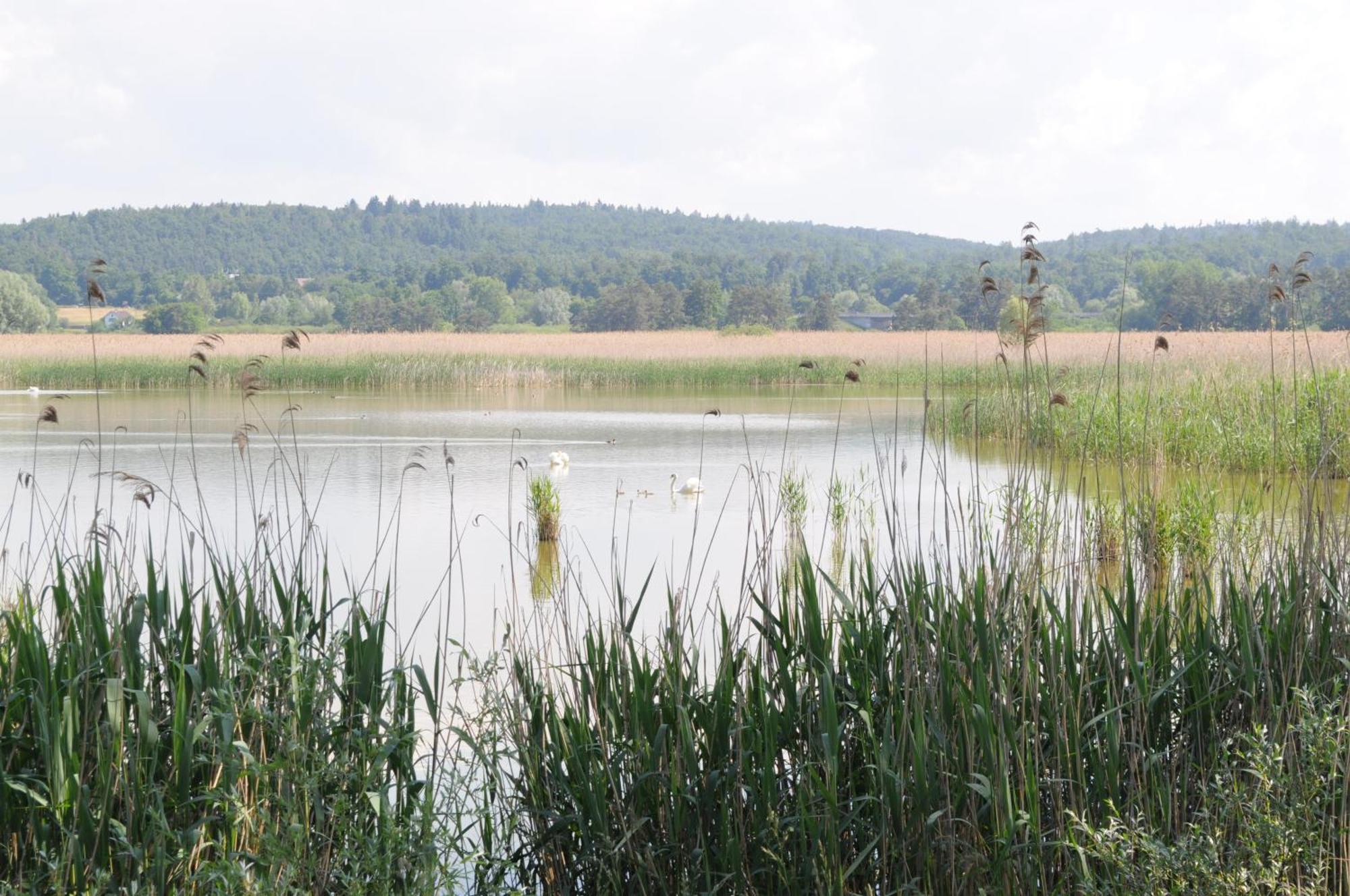 Keller Bed & Breakfast Reichenau