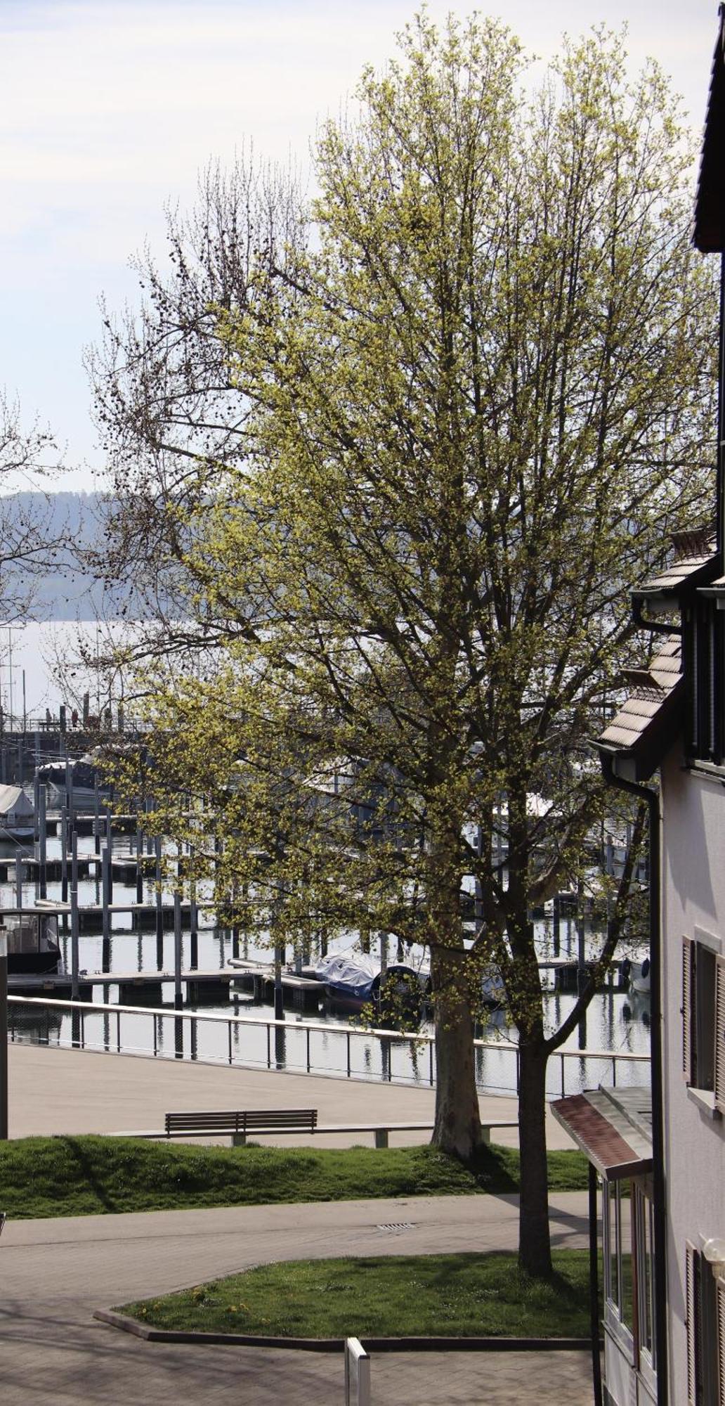 Holiday home Gaestehaus Maeder Am Hafen