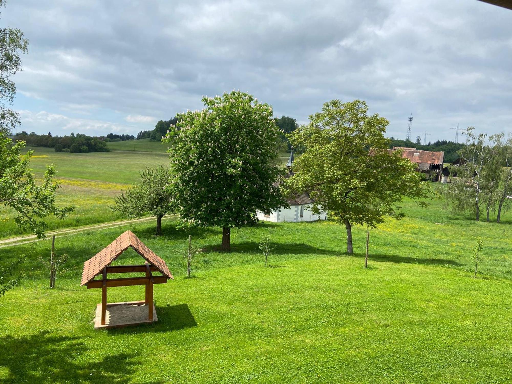Apartment Hofgut Breitenbach Markdorf
