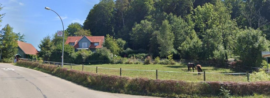 Apartment Gemuetliche Mit Terrasse In Der Naehe Vom Bodensee Tettnang