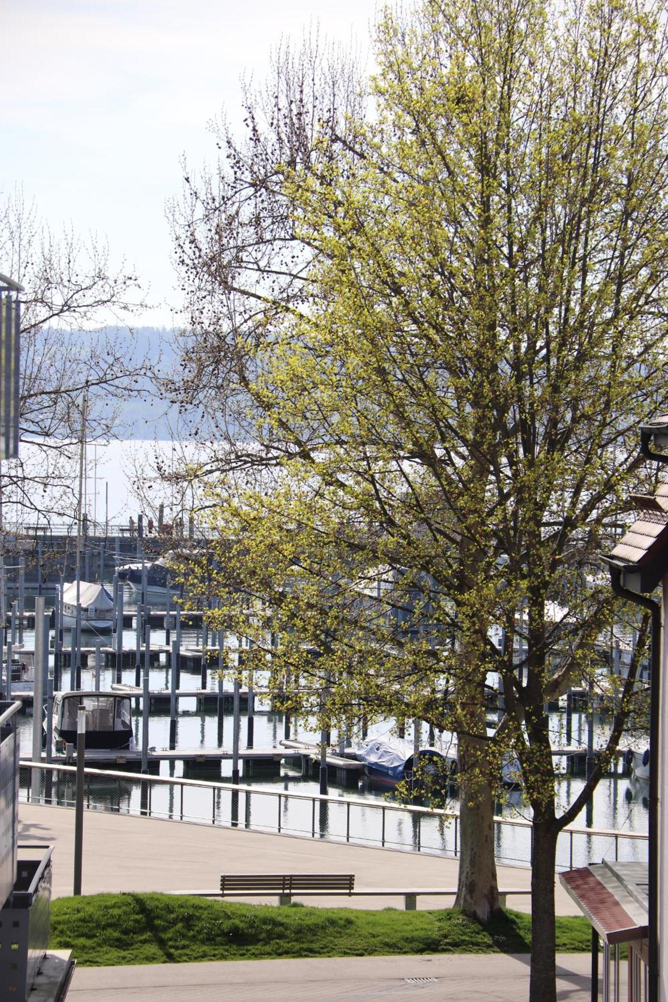 Gaestehaus Maeder Am Hafen