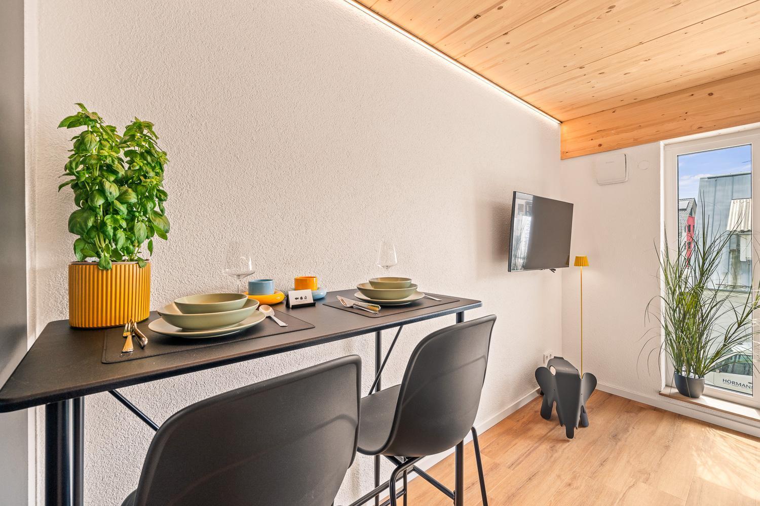 Einzimmer Wohlfuehlapartment Vier Klimatisiert Friedrichshafen