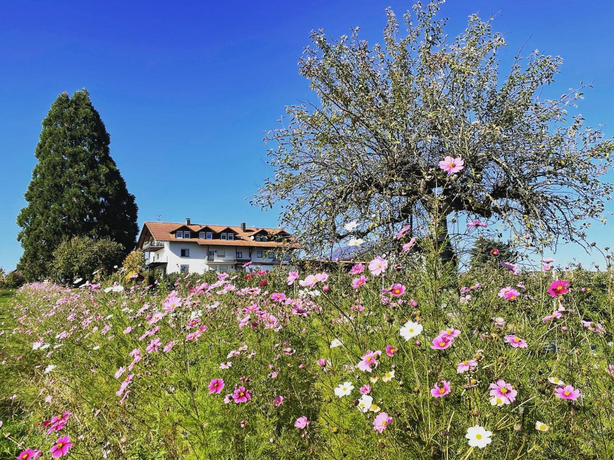 Hofgut Bergchalet Mirabell - Natururlaub Am Bodensee