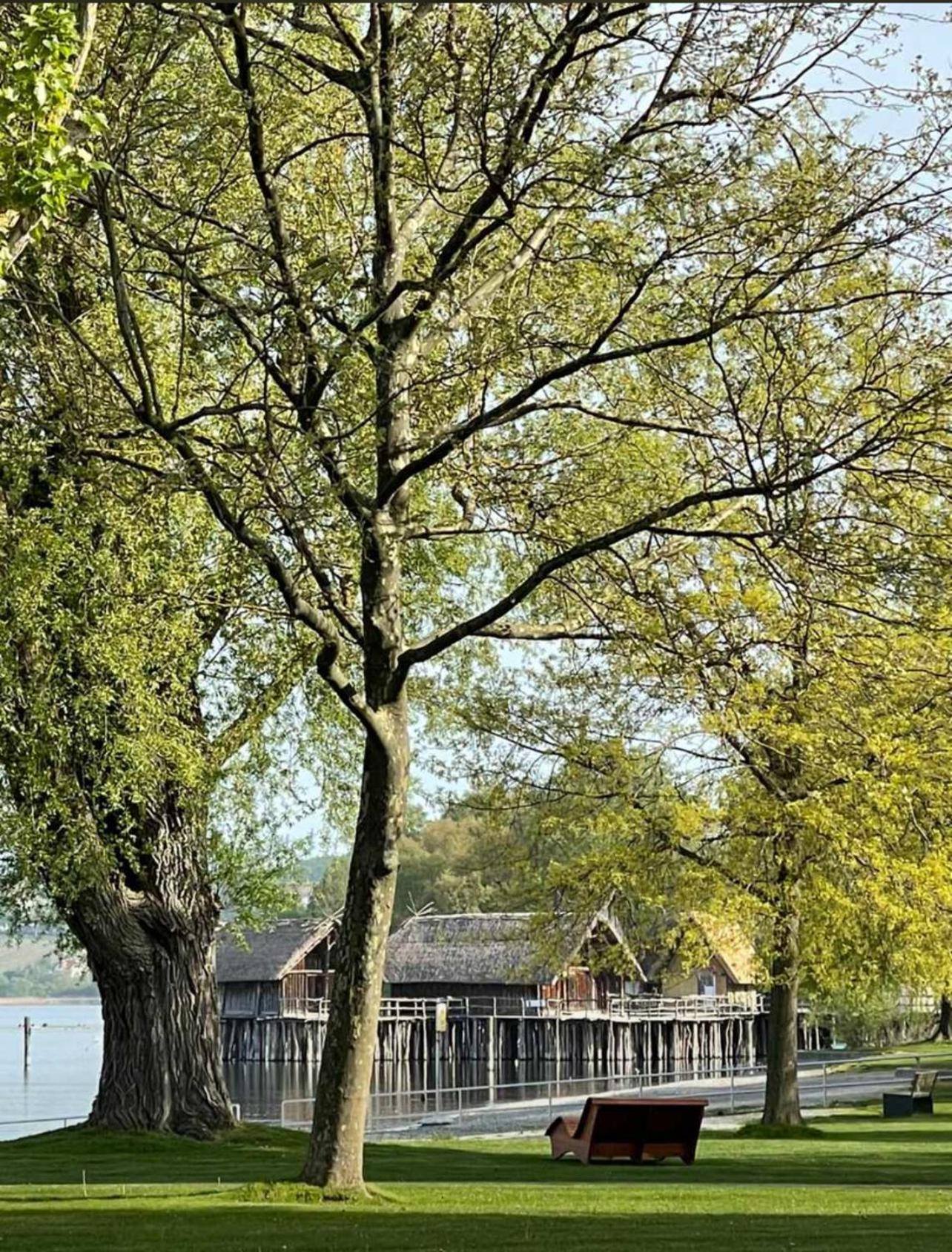 Mäder Am Hafen Uhldingen-Mühlhofen
