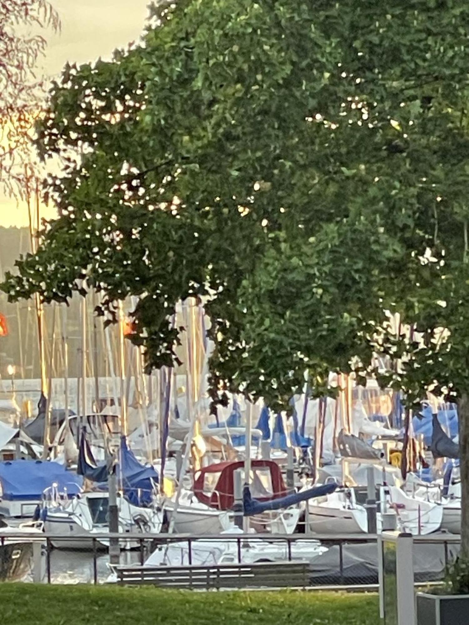 Gaestehaus Maeder Am Hafen Holiday home