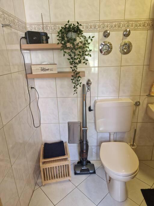 Ferienwohnung In Bodenseenaehe Apartment