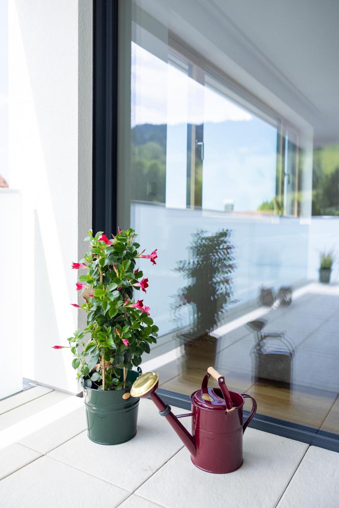 Bodensee Bergblick Apartment