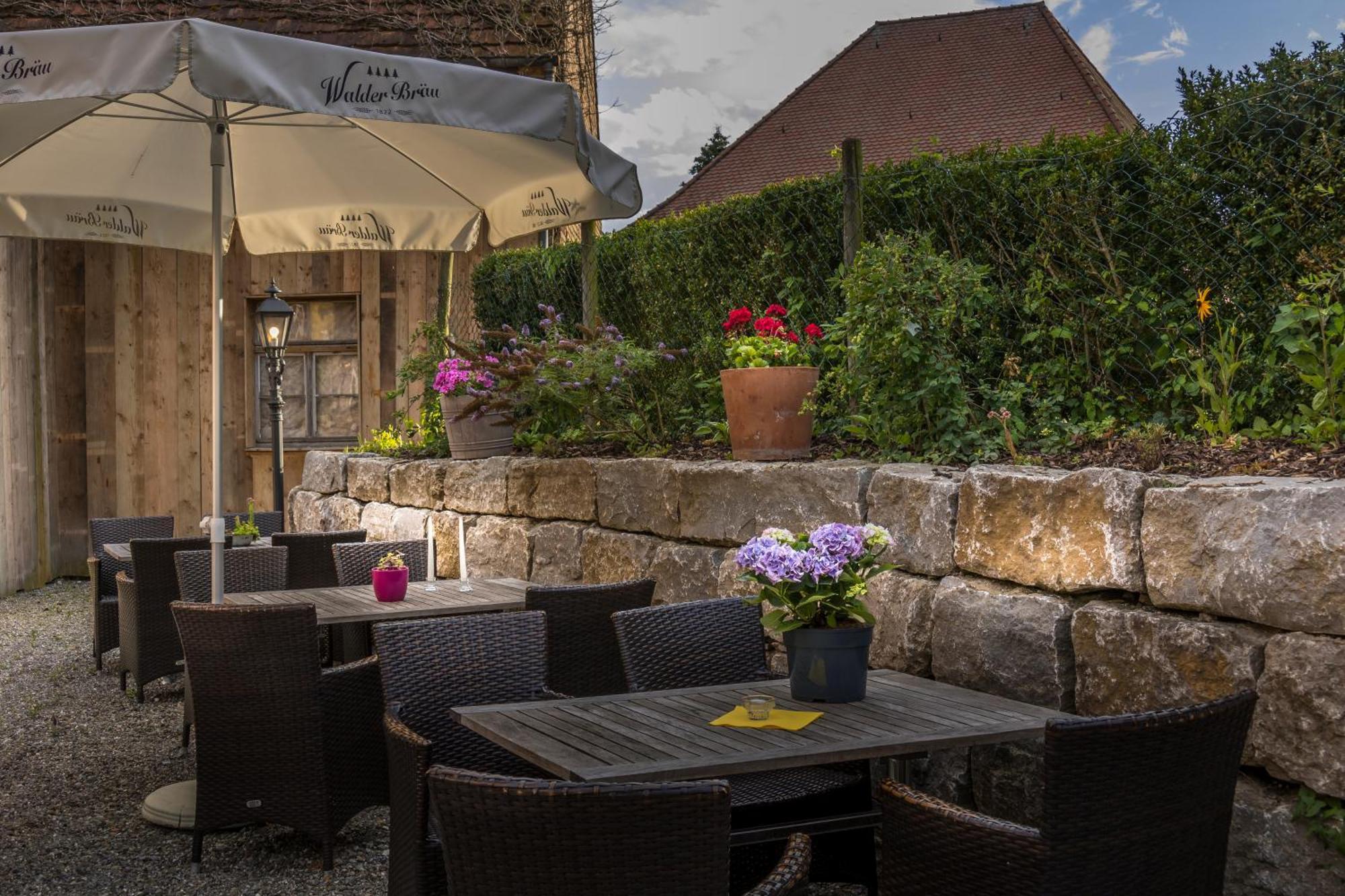 Rebstock Stetten (Bodensee)