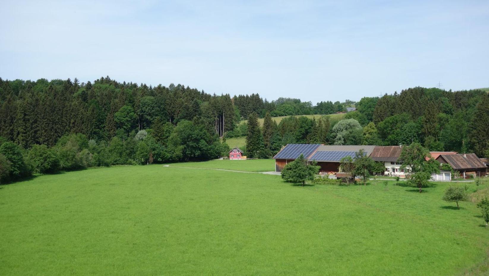 Erwins Ferien Paradies Diezlings