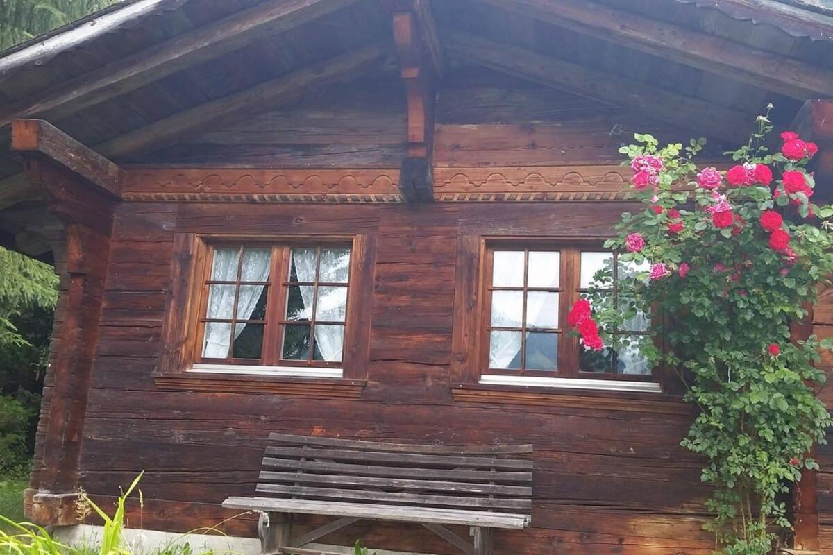 Duplex Flat - Amazing With Pond