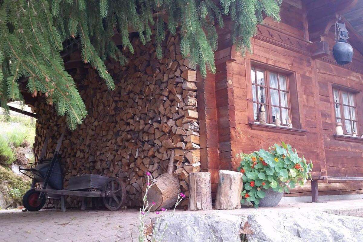 Duplex Flat - Amazing With Pond Holiday home
