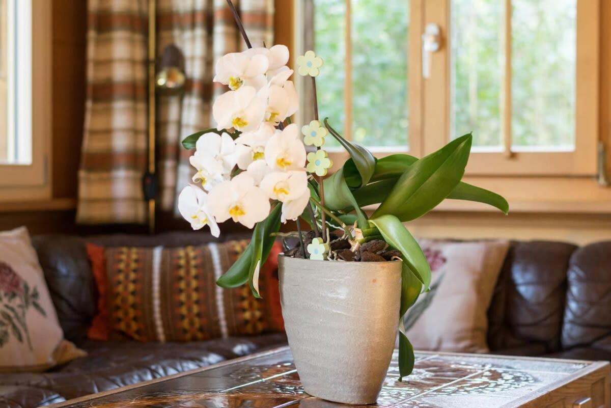 Holiday home Duplex Flat - Amazing With Pond Gstaad