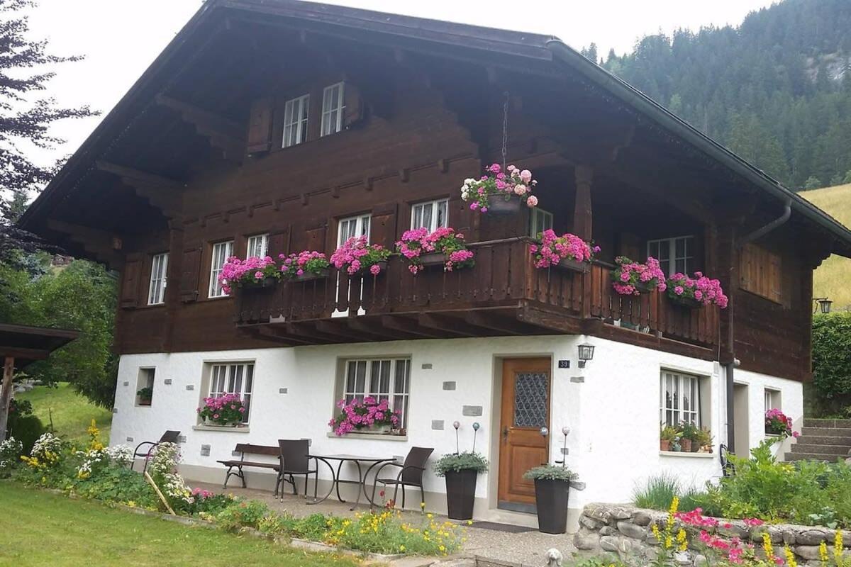 Duplex Flat - Amazing With Pond *