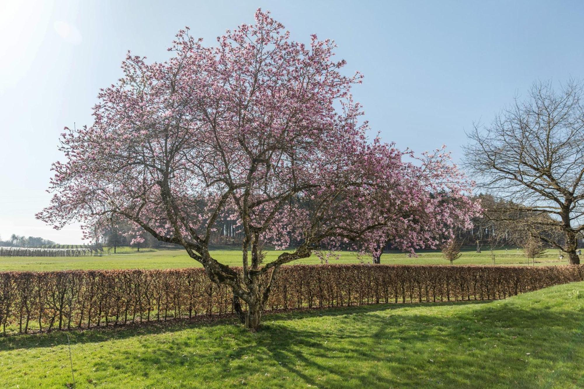 Haus Hasenweide