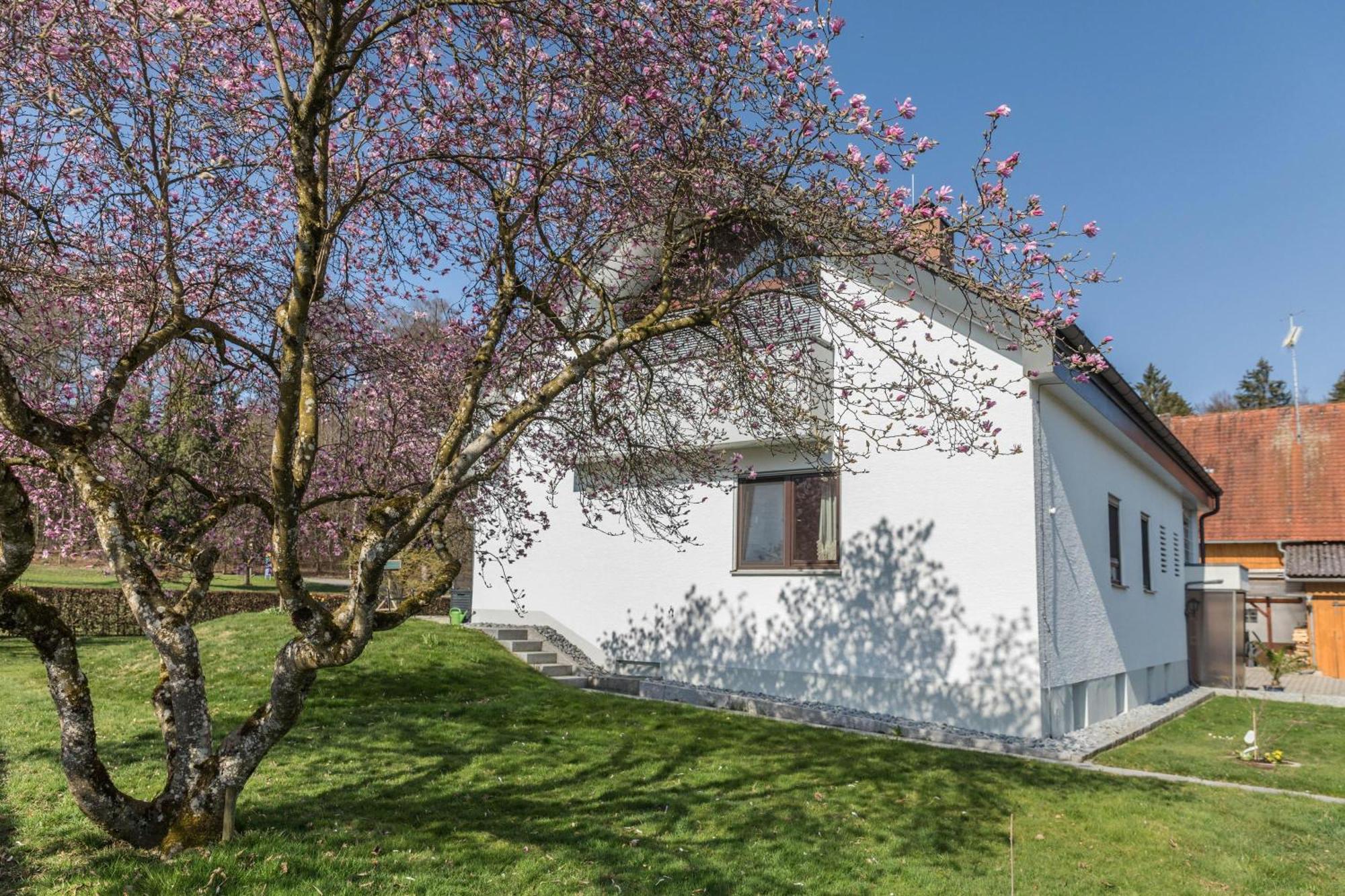 Apartment Haus Hasenweide
