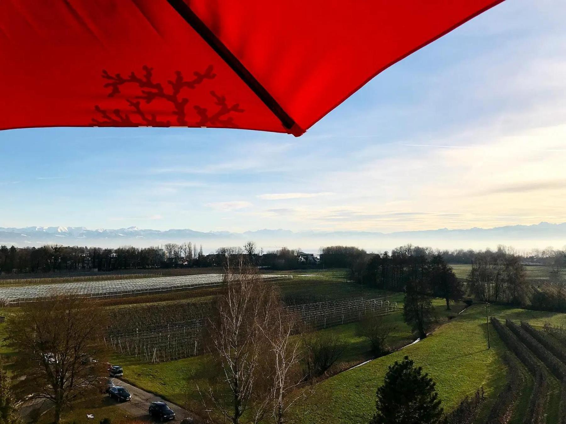 Alina Apartment Kressbronn am Bodensee