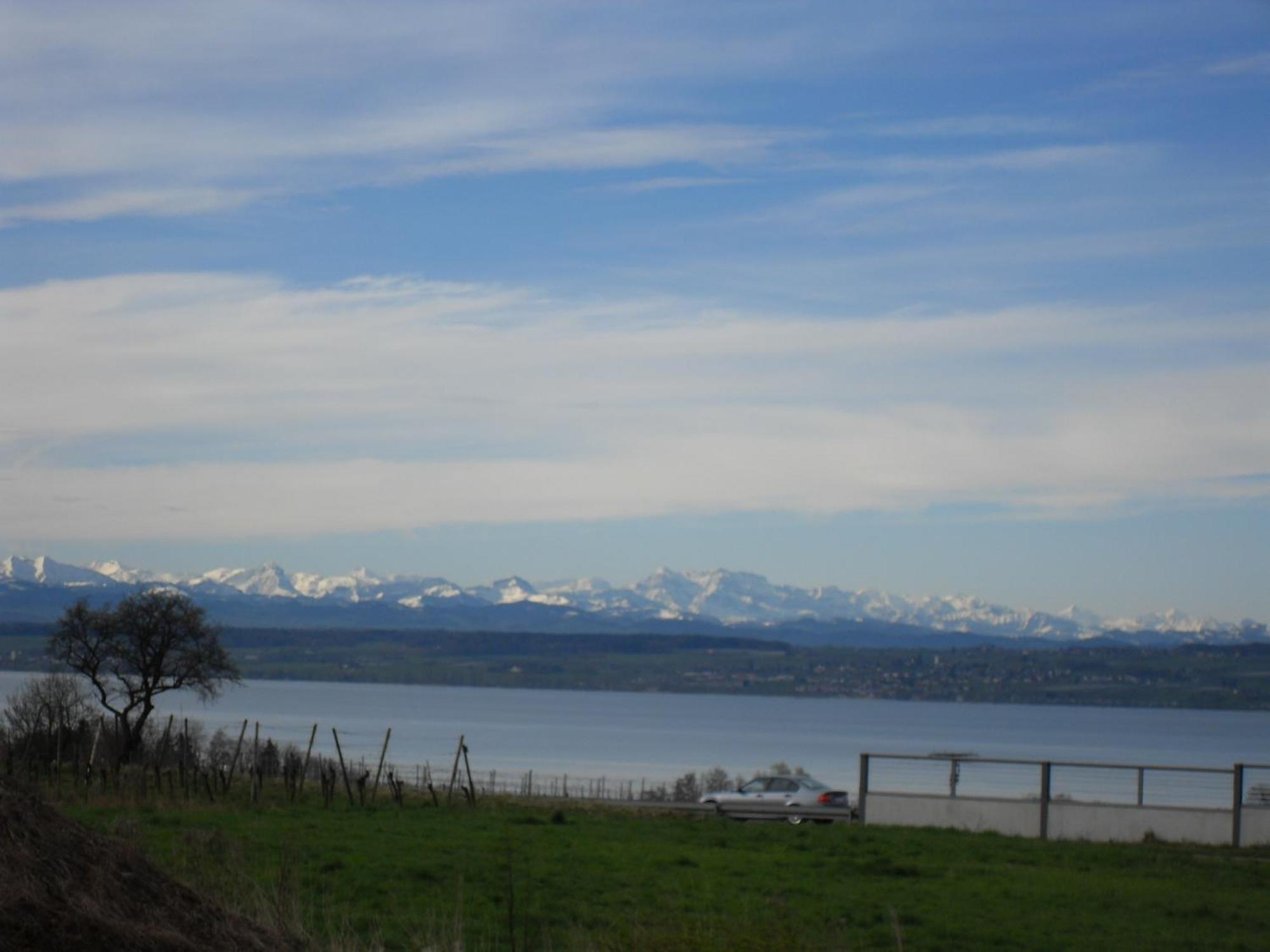 Ferienhaus Bodenseeblick