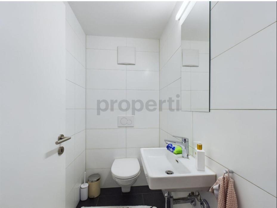 Seenaehe 300 Meter 126 Qm Wohnflaeche 6 Betten Apartment Rorschacherberg