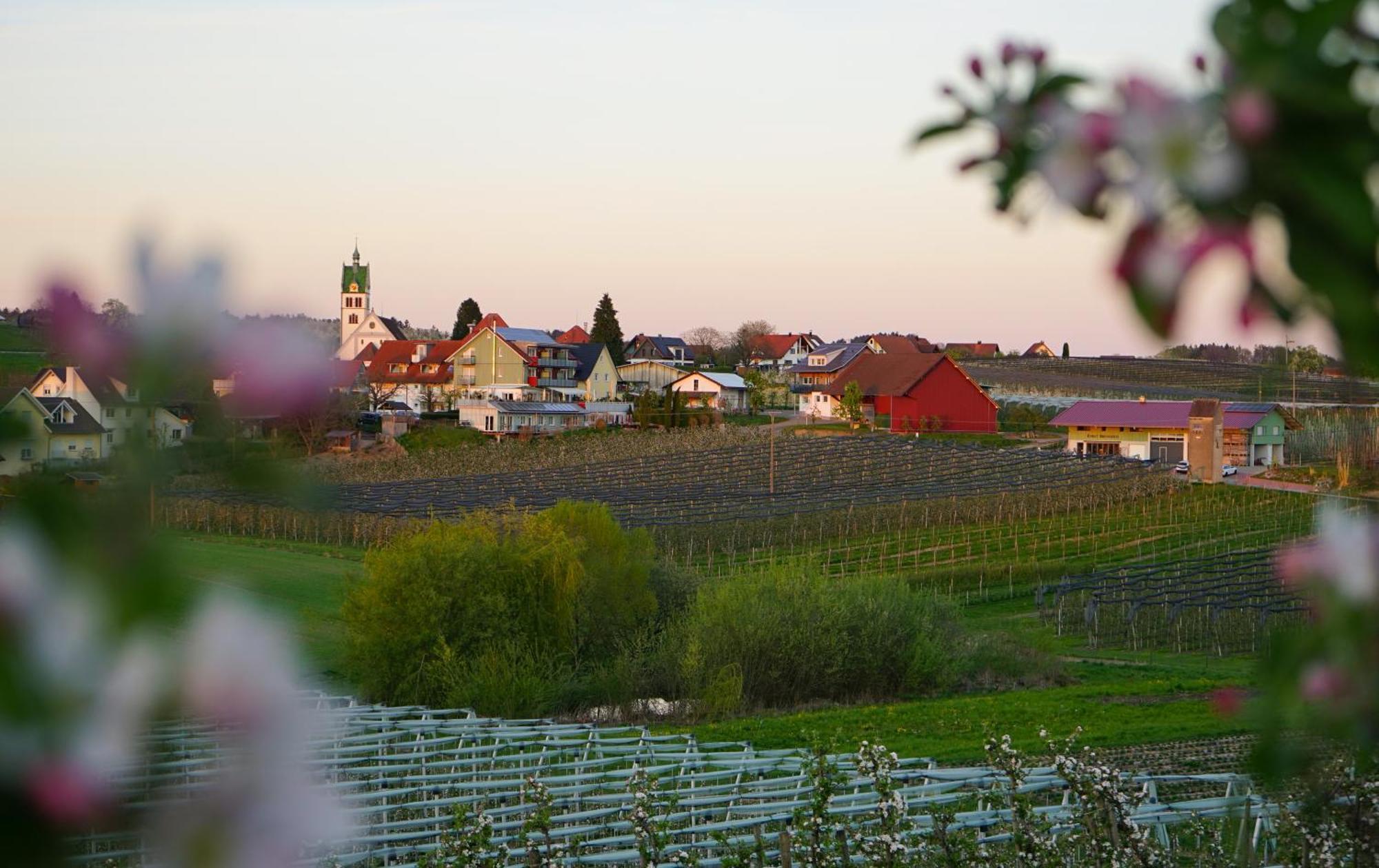 Brennerei Zum Forst Hotel Kressbronn am Bodensee